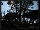 Skadi-och-Isa-13 * 709 x 531 * (89KB)