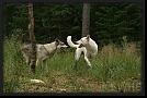 Skadi-och-Isa-25 * 762 x 510 * (117KB)